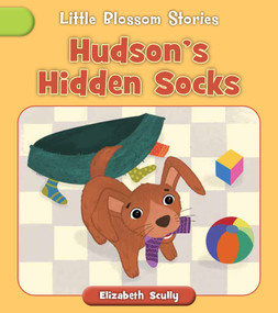 Hudson's Hidden Socks by Elizabeth Scully, Debby Rahmalia, 9781668987063