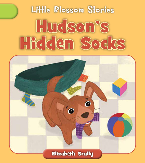 Hudson's Hidden Socks by Elizabeth Scully, Debby Rahmalia, 9781668987063