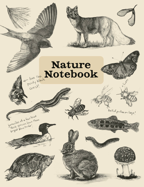 Nature Notebook by Tammy Stellanova, 9781951179472