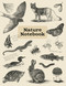 Nature Notebook by Tammy Stellanova, 9781951179472