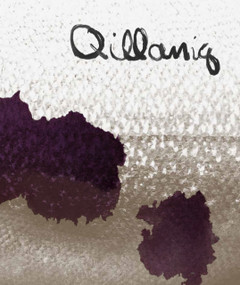 Qillaniq by Jocelyn Piirainen, 9781773105086