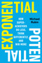 Exponential Potential (How Superachievers Do Less, Think Differently, and Win More) by Michael Rubin, 9798217183432