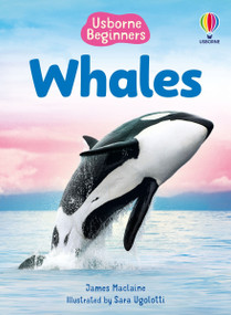 Whales (Usborne Beginners) by James Maclaine, Sara Ugolotti, 9781836052142