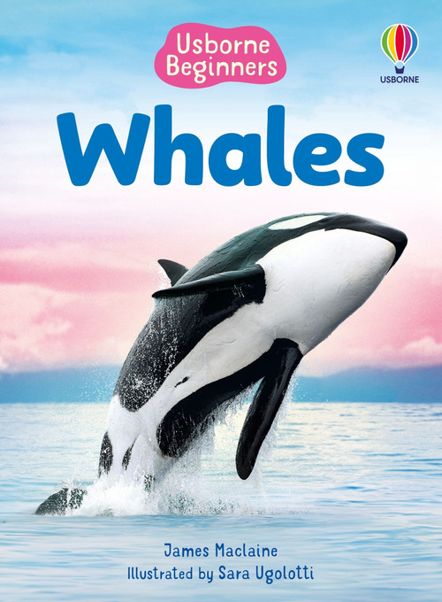 Whales (Usborne Beginners) by James Maclaine, Sara Ugolotti, 9781836052142