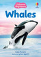 Whales (Usborne Beginners) by James Maclaine, Sara Ugolotti, 9781836052142