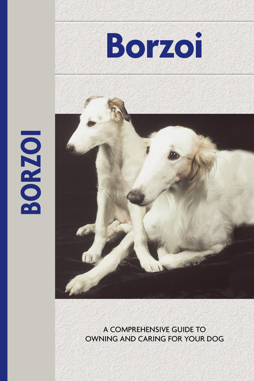 Borzoi (Comprehensive Owner's Guide) by Desiree Scott, 9781621871606