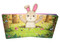 Cuddle Pops: Bunny Kisses (Padded Hardcover Pop-Up Book) by James Newman Gray, 9780655245438