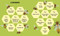 Small Steps, Big Discoveries: Bees by Cristina Banfi, Elisa  Varetti, 9788854422438