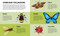 Small Steps, Big Discoveries: Bees by Cristina Banfi, Elisa  Varetti, 9788854422438