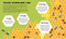Small Steps, Big Discoveries: Bees by Cristina Banfi, Elisa  Varetti, 9788854422438