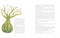 The Little Prince by Manuela  Adreani, 9788854422735
