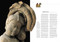 Ancient India by Marilia Albanese, 9788854422773