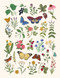 Botanical Embroidered Sketchbook by Insight Editions, 9798337402246
