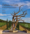 Château La Coste (Art and Architecture in Provence) by Robert Ivy, Alistair Hicks, Alan Karchmer, Ai Weiwei, Tadao Ando, JR, 9781858947303
