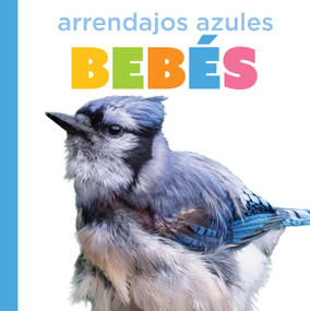 Arrendajos azules bebés (Spanish Edition) by Graham Morgan, 9798896803836