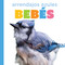 Arrendajos azules bebés (Spanish Edition) by Graham Morgan, 9798896803836