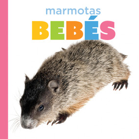 Marmotas bebés (Spanish Edition) by Graham Morgan, 9798896803850