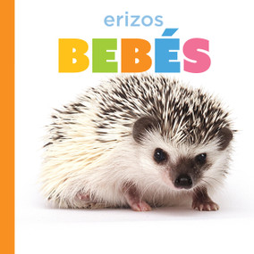 Erizos bebés (Spanish Edition) by Graham Morgan, 9798896803867