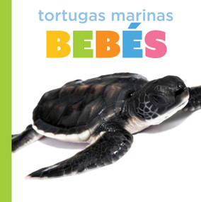Tortugas marinas bebés (Spanish Edition) by Graham Morgan, 9798896803881