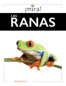 Las tortugas marinas (Spanish Edition) by Mari Bolte, 9798896804390