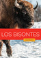 Los bisontes (Spanish Edition) by Melissa Gish, 9798896805137