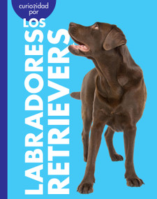 Curiosidad por los labradores retrievers (Spanish Edition) by Rachel Grack, 9798896857334