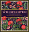 Wildflower Coloring Book (Delicate Floral Designs to Color) by Editors of Chartwell Books, 9780785851486