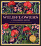 Wildflower Coloring Book (Delicate Floral Designs to Color) by Editors of Chartwell Books, 9780785851486