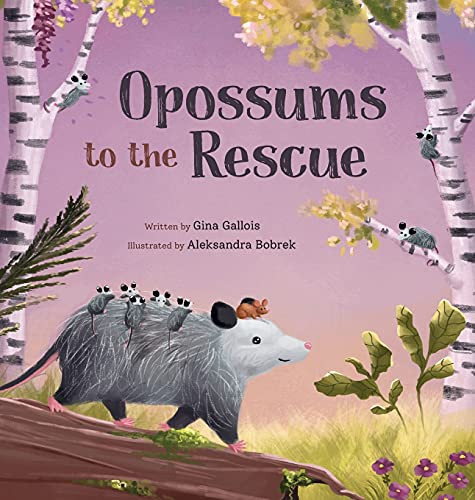 Opossums to the Rescue (A Same or Different Critter Story) by Gina Gallois, Aleksandra Bobrek, 9781954322127