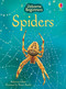 Spiders (Usborne Beginners) by Rebecca Gilpin, Tetsuo Kushii, 9781835405550