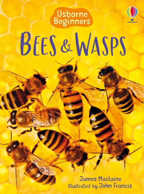 Bees and Wasps (Usborne Beginners) by James Maclaine, John Francis, 9781835409770