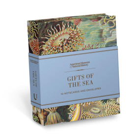Gifts of the Sea (10 Notecards and Envelopes) by American Museum of Natural History, 9781454965237