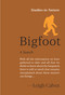 Bigfoot (A Search) by Leigh Calvez, 9781643266732
