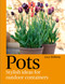 Pots: Stylish Ideas for Outdoor Containers by Lucy Bellamy, 9781846016240