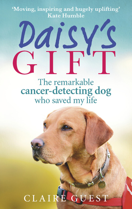 Daisy's Gift (The Remarkable Cancer-Detecting Dog Who Saved My Life) by Claire Guest, 9780753557426
