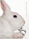 Mio Harutaka by Mio Harutaka, Hiroshi Sugimoto, 9780847877898