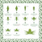 200 Origami Papers Botanical Garden (25 origami projects and 200 sheets) by Joséphine Cormier, 9781800924710