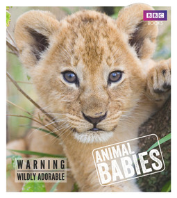 Animal Babies by Laura Barwick, 9781785941009
