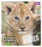 Animal Babies by Laura Barwick, 9781785941009