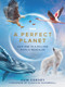A Perfect Planet by Huw Cordey, 9781785945298