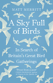 A Sky Full of Birds by Matt Merritt, 9781846044809
