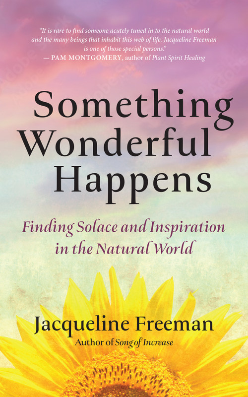 Something Wonderful Happens (Finding Solace and Inspiration in the Natural World) by Jacqueline Freeman, 9781955831635