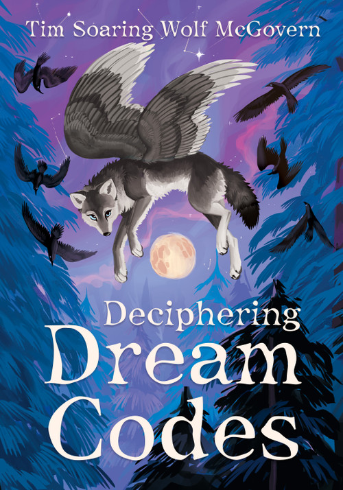 Deciphering Dream Codes by Tim McGovern, 9798950586026