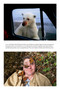 Dream Job (Confessions of a National Geographic Photographer) by Joel Sartore, Carson Vaughan, 9781426224461