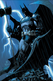 Absolute Batman: The Covers by Various, Various, 9781799519812