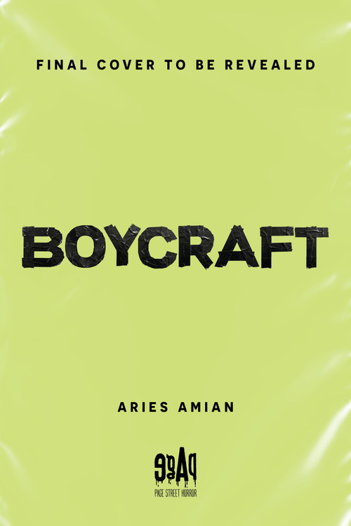Boycraft by Aries Amian, 9798890036865