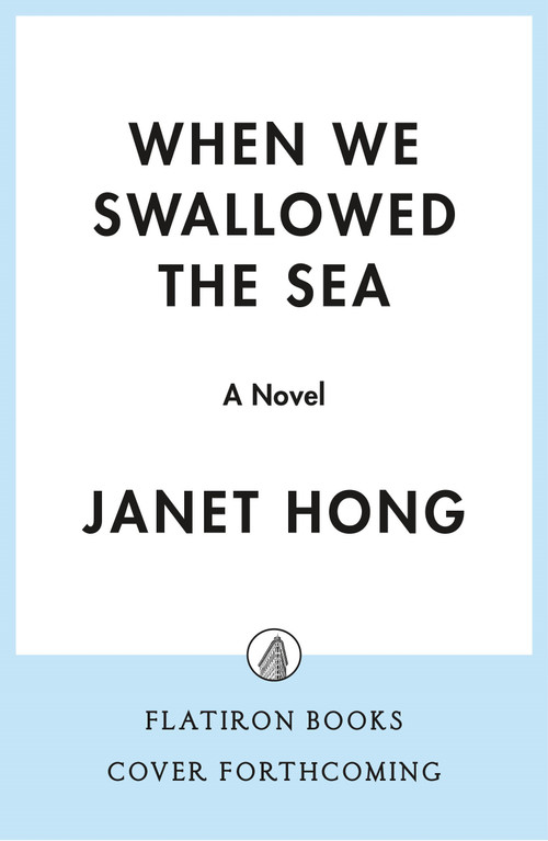 When We Swallowed the Sea (A Novel) by Janet Hong, 9781250464590