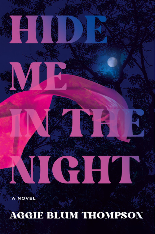 Hide Me in the Night (A Novel) by Aggie Blum Thompson, 9781250469434