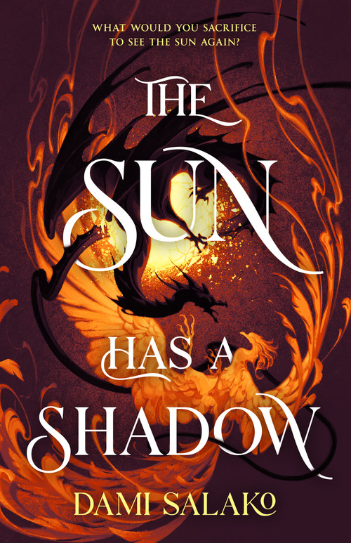 The Sun Has a Shadow by Dami Salako, 9781250453358