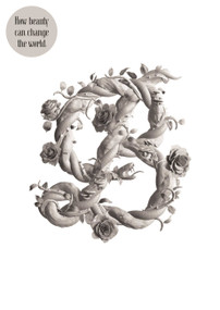 Beauty by Stefan Sagmeister, Jessica Walsh, 9780714877273